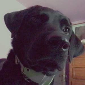 Meet your Posher, Sonja